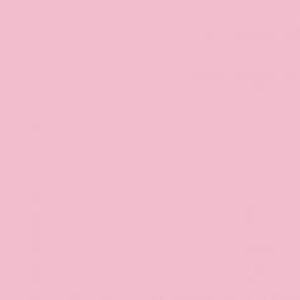 Meet your Posher, Selvia